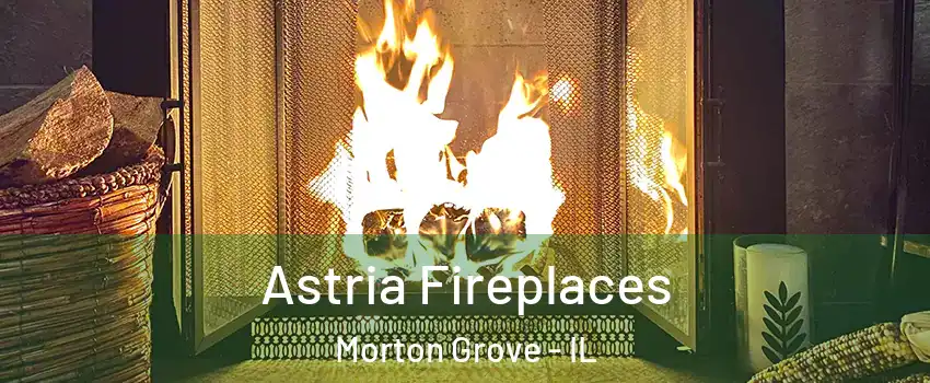  Astria Fireplaces Morton Grove - IL