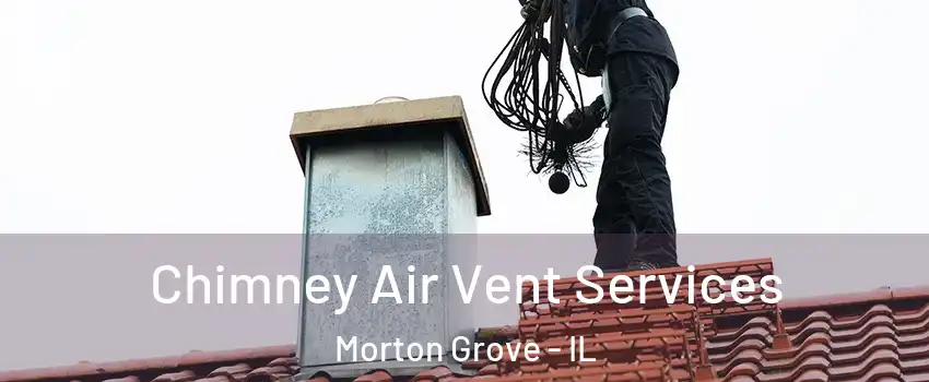  Chimney Air Vent Services Morton Grove - IL