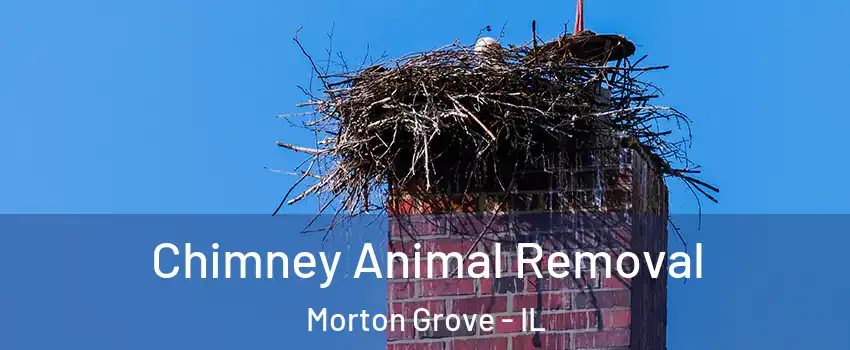Chimney Animal Removal Morton Grove - IL
