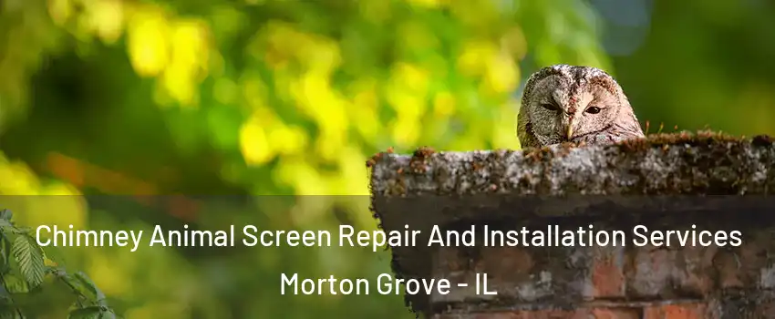  Chimney Animal Screen Repair And Installation Services Morton Grove - IL