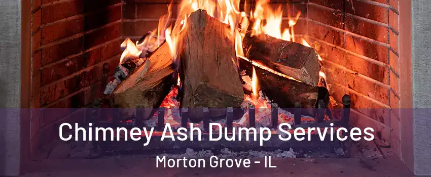  Chimney Ash Dump Services Morton Grove - IL