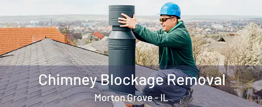  Chimney Blockage Removal Morton Grove - IL