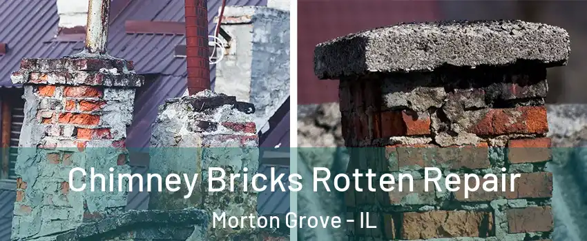  Chimney Bricks Rotten Repair Morton Grove - IL