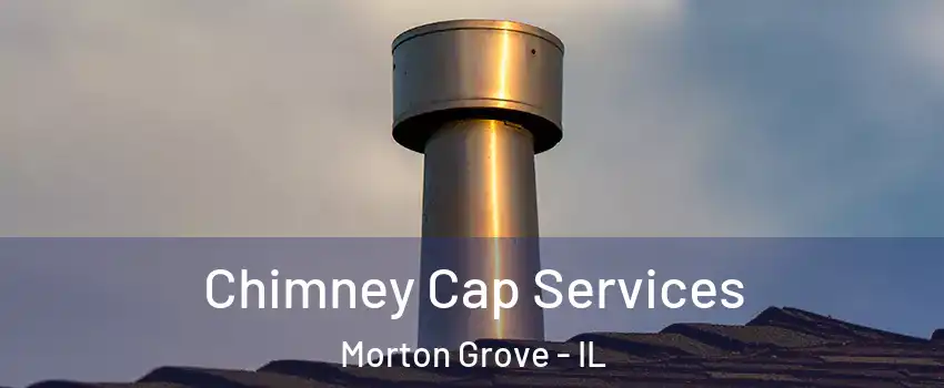  Chimney Cap Services Morton Grove - IL
