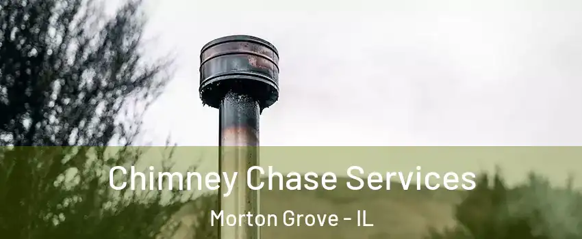  Chimney Chase Services Morton Grove - IL