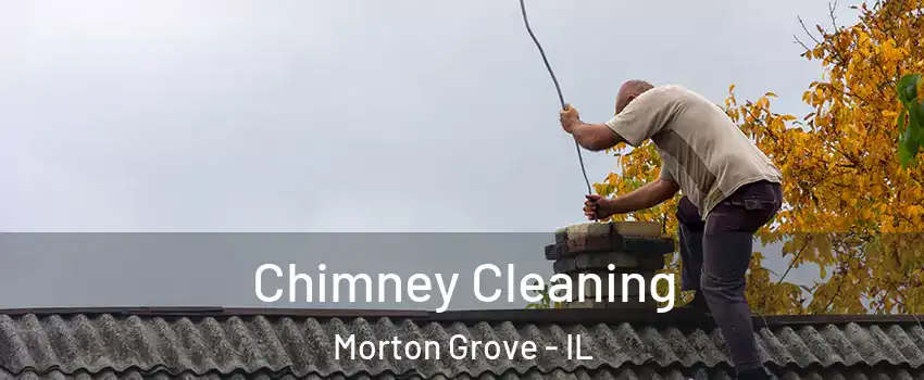  Chimney Cleaning Morton Grove - IL