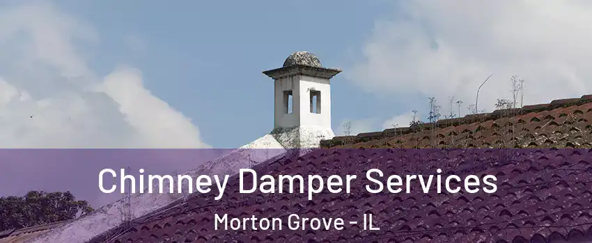  Chimney Damper Services Morton Grove - IL