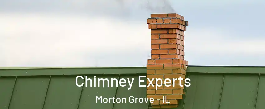  Chimney Experts Morton Grove - IL