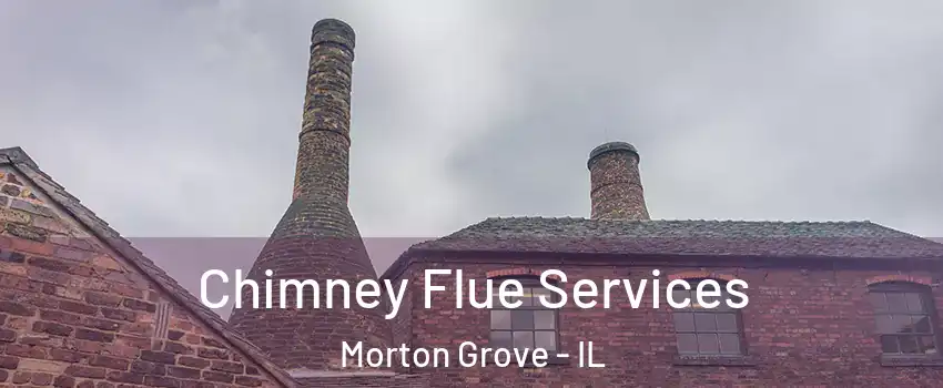  Chimney Flue Services Morton Grove - IL