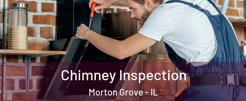  Chimney Inspection Morton Grove - IL