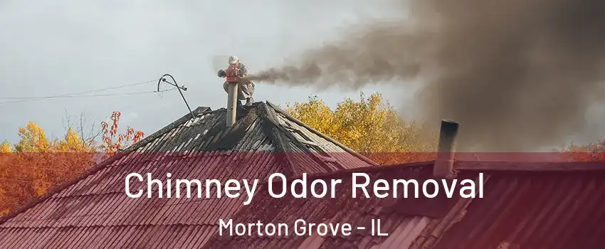  Chimney Odor Removal Morton Grove - IL