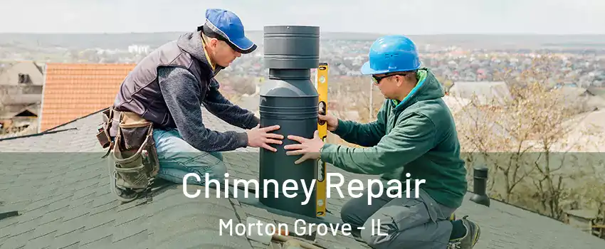  Chimney Repair Morton Grove - IL