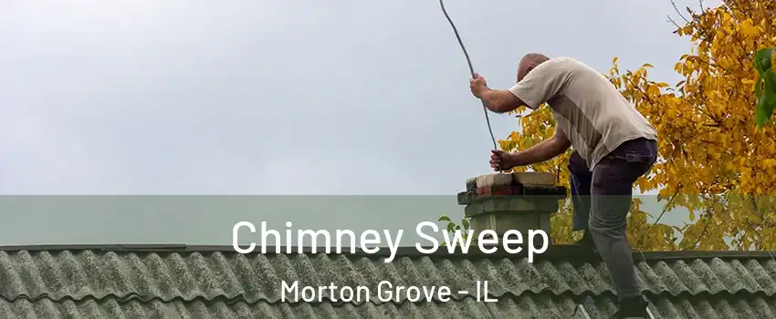  Chimney Sweep Morton Grove - IL