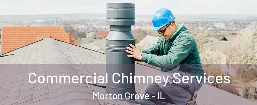  Commercial Chimney Services Morton Grove - IL