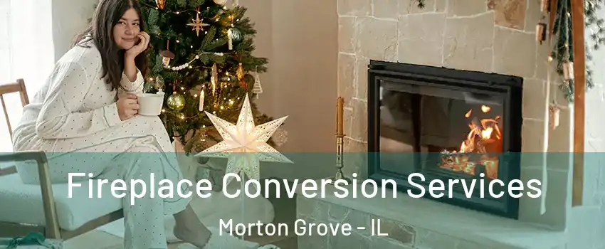  Fireplace Conversion Services Morton Grove - IL