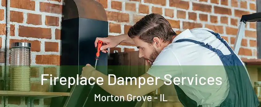  Fireplace Damper Services Morton Grove - IL