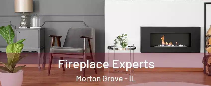  Fireplace Experts Morton Grove - IL