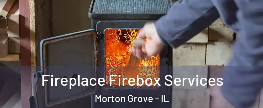  Fireplace Firebox Services Morton Grove - IL
