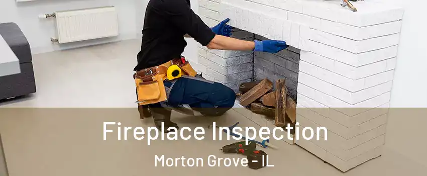 Fireplace Inspection Morton Grove - IL