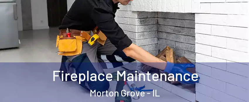  Fireplace Maintenance Morton Grove - IL