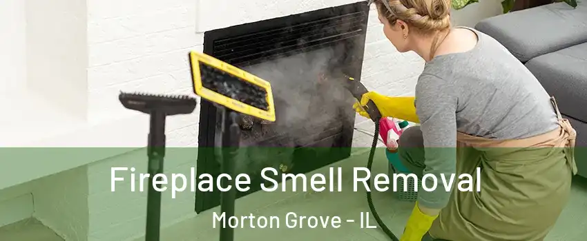  Fireplace Smell Removal Morton Grove - IL