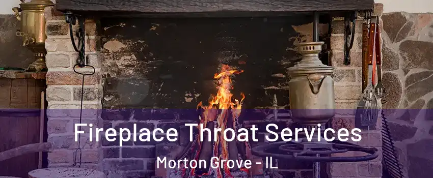  Fireplace Throat Services Morton Grove - IL