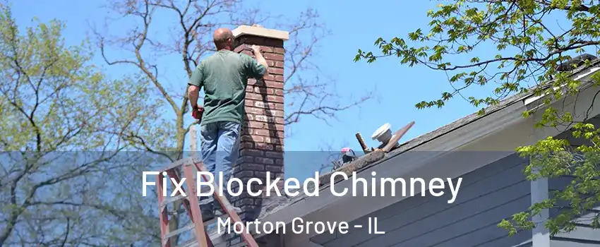  Fix Blocked Chimney Morton Grove - IL