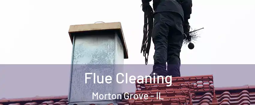  Flue Cleaning Morton Grove - IL