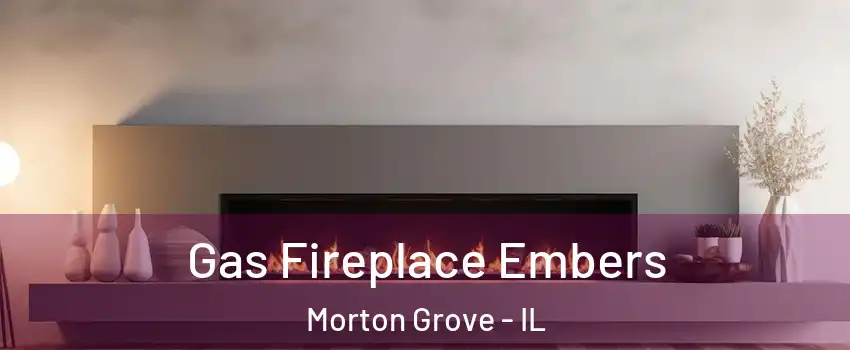  Gas Fireplace Embers Morton Grove - IL