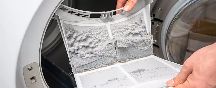 Best Dryer Lint Removal Company in Morton Grove, Illinois