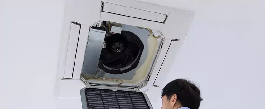 Benefits of Professional Air Duct Cleaning in Morton Grove, Illinois