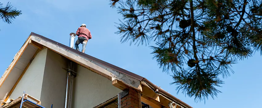 Birds Removal Contractors from Chimney in Morton Grove, IL