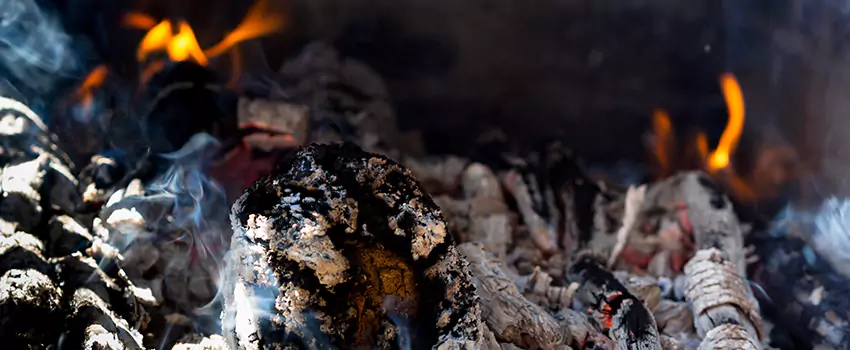 Creosote Removal Experts in Morton Grove, IL