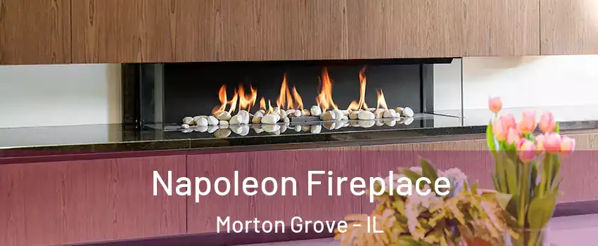  Napoleon Fireplace Morton Grove - IL