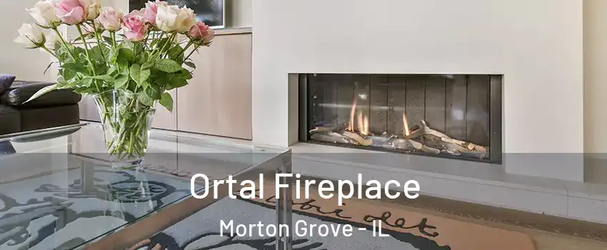  Ortal Fireplace Morton Grove - IL