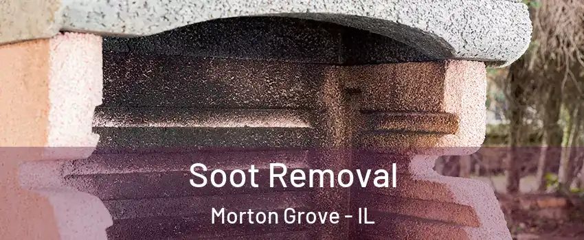  Soot Removal Morton Grove - IL